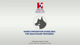 Rabies Prevention Guidelines for Healthcare Providers